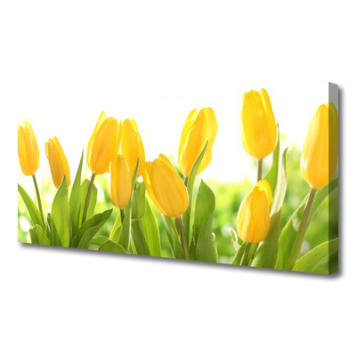 Leinwand-Bilder Tulpen Pflanzen