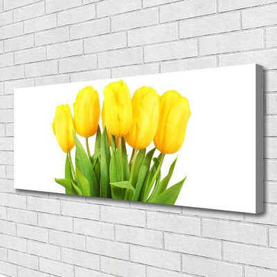 Leinwand-Bilder Tulpen Pflanzen