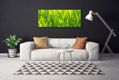 Leinwand-Bilder Gras Natur