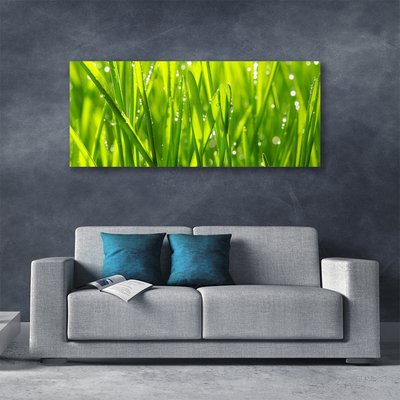 Leinwand-Bilder Gras Natur