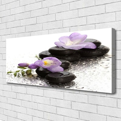 Leinwand-Bilder Blumen Steine Kunst