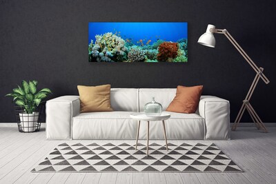 Leinwand-Bilder Korallenriff Natur