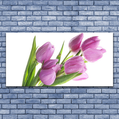 Leinwand-Bilder Tulpen Pflanzen