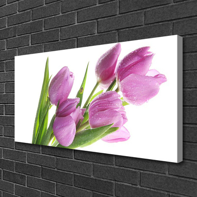 Leinwand-Bilder Tulpen Pflanzen