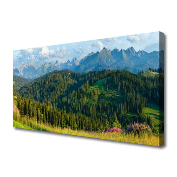 Leinwand-Bilder Gebirge Wald Natur