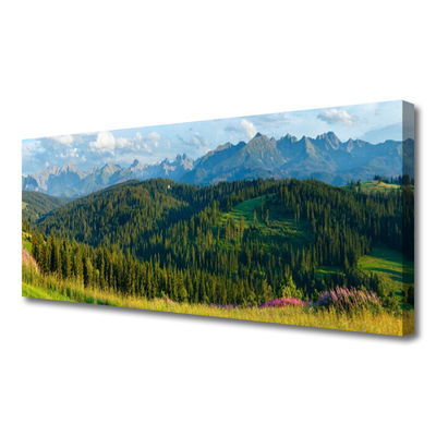 Leinwand-Bilder Gebirge Wald Natur