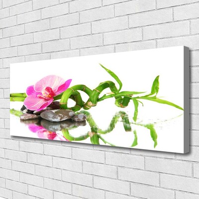 Leinwand-Bilder Bambusrohr Blume Steine Kunst