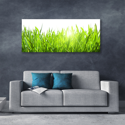 Leinwand-Bilder Gras Natur