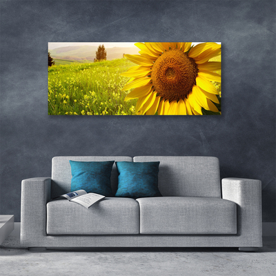 Leinwand-Bilder Sonnenblume Pflanzen