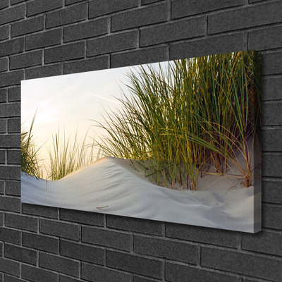 Leinwand-Bilder Sand Gras Landschaft