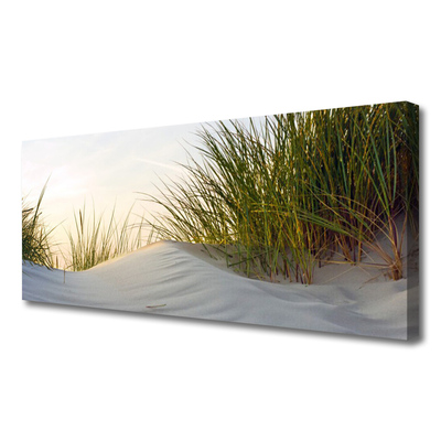 Leinwand-Bilder Sand Gras Landschaft