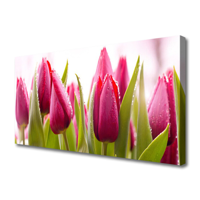 Leinwand-Bilder Tulpen Pflanzen