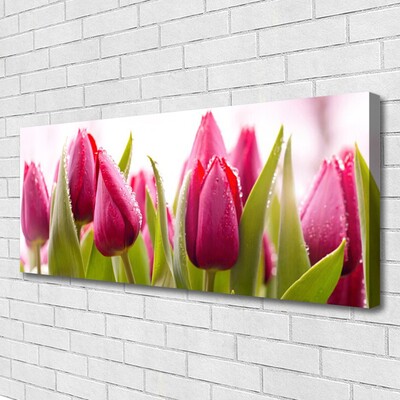 Leinwand-Bilder Tulpen Pflanzen