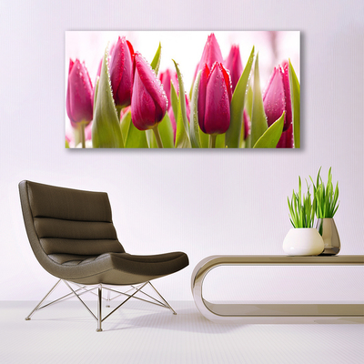 Leinwand-Bilder Tulpen Pflanzen