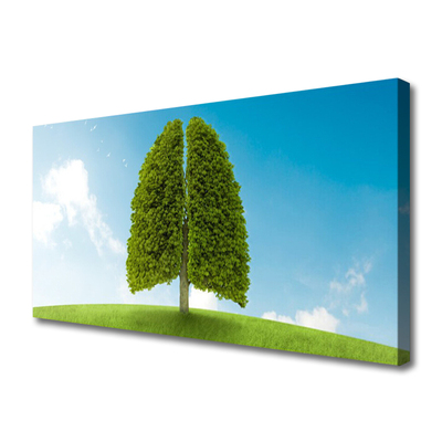 Leinwand-Bilder Gras Baum Natur