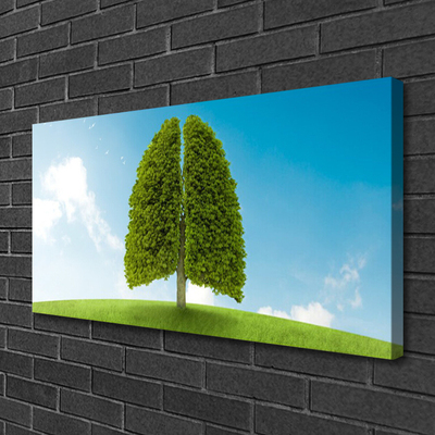 Leinwand-Bilder Gras Baum Natur