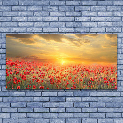 Leinwand-Bilder Sonne Wiese Mohnblumen Natur