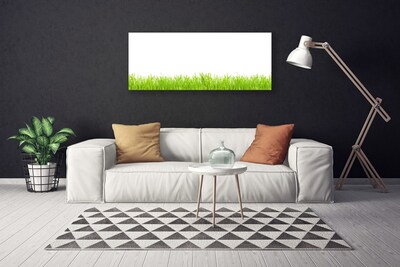 Leinwand-Bilder Gras Natur