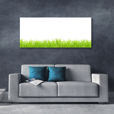 Leinwand-Bilder Gras Natur