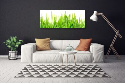 Leinwand-Bilder Gras Natur