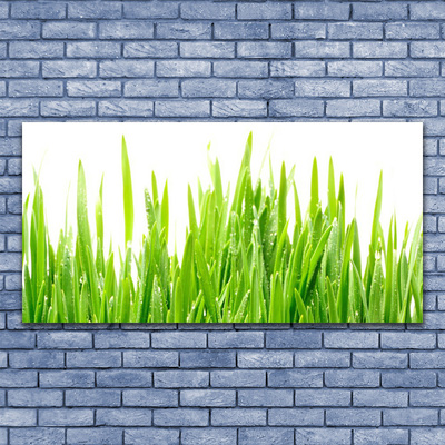 Leinwand-Bilder Gras Natur