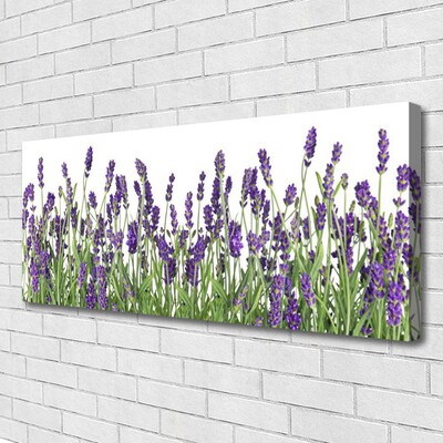 Leinwand-Bilder Blumen Pflanzen