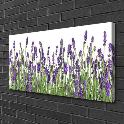 Leinwand-Bilder Blumen Pflanzen