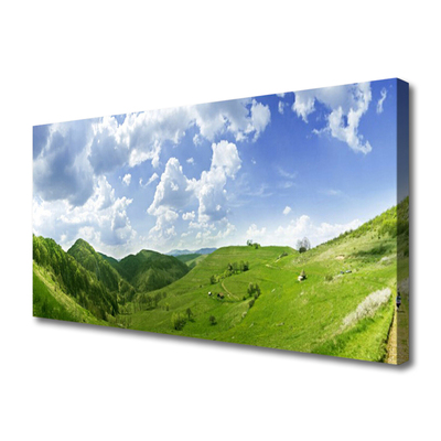 Leinwand-Bilder Gebirge Wiese Natur