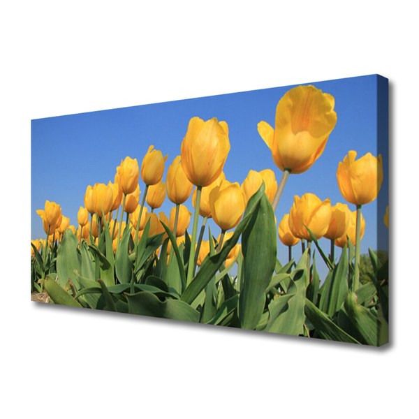 Leinwand-Bilder Tulpen Pflanzen