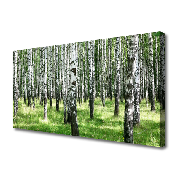 Leinwand-Bilder Wald Natur