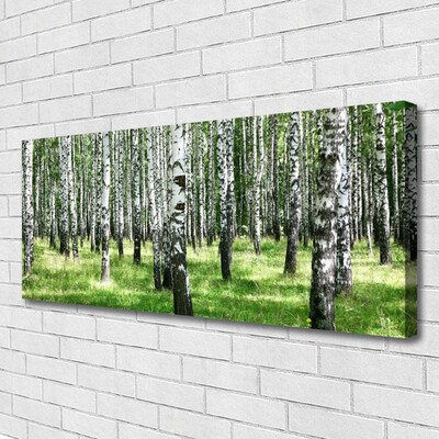 Leinwand-Bilder Wald Natur