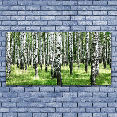 Leinwand-Bilder Wald Natur