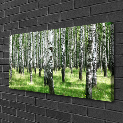 Leinwand-Bilder Wald Natur