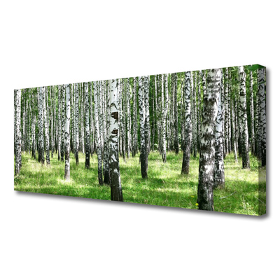 Leinwand-Bilder Wald Natur