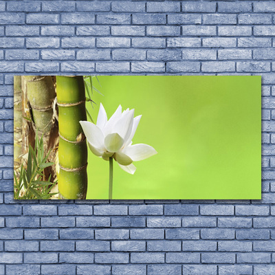 Leinwand-Bilder Bambusrohr Blume Pflanzen