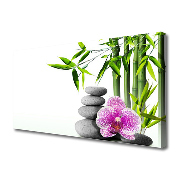 Leinwand-Bilder Bambusrohr Blume Steine Pflanzen