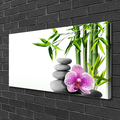 Leinwand-Bilder Bambusrohr Blume Steine Pflanzen
