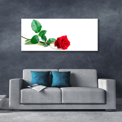 Leinwand-Bilder Rose Pflanzen
