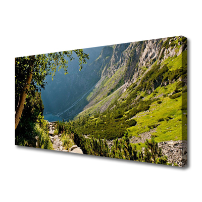 Leinwand-Bilder Gebirge Wald Natur