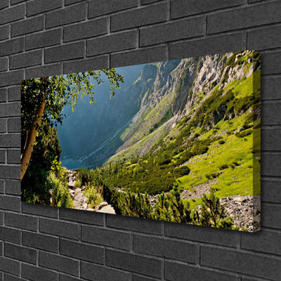 Leinwand-Bilder Gebirge Wald Natur