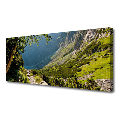 Leinwand-Bilder Gebirge Wald Natur