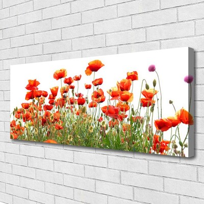 Leinwand-Bilder Mohnblumen Natur