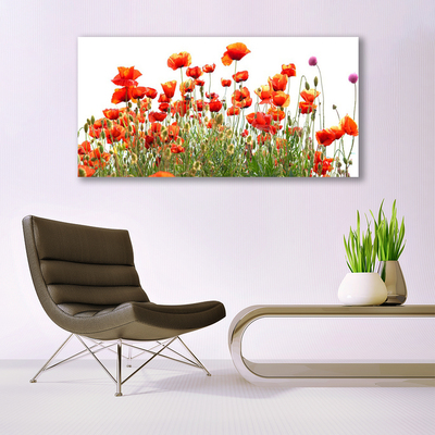 Leinwand-Bilder Mohnblumen Natur