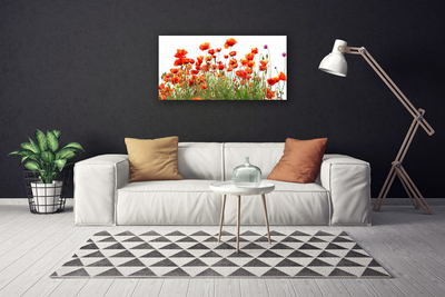 Leinwand-Bilder Mohnblumen Natur