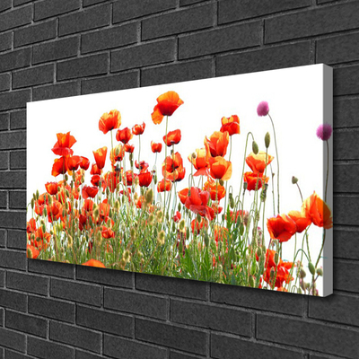 Leinwand-Bilder Mohnblumen Natur