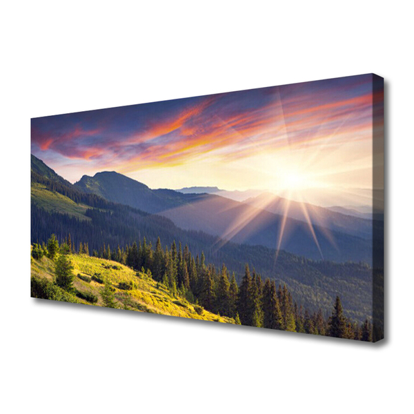 Leinwand-Bilder Gebirge Wald Sonne Landschaft