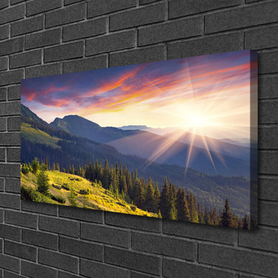 Leinwand-Bilder Gebirge Wald Sonne Landschaft