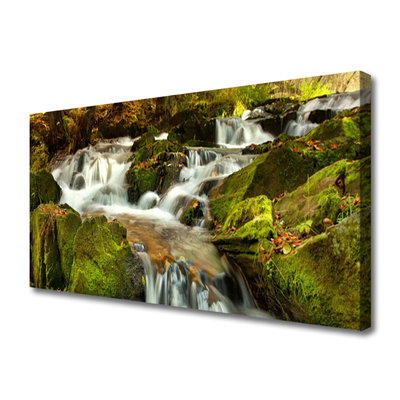 Leinwand-Bilder Wasserfall Felsen Natur