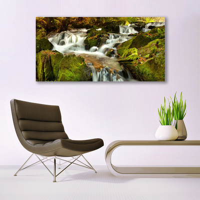 Leinwand-Bilder Wasserfall Felsen Natur