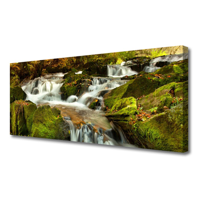 Leinwand-Bilder Wasserfall Felsen Natur